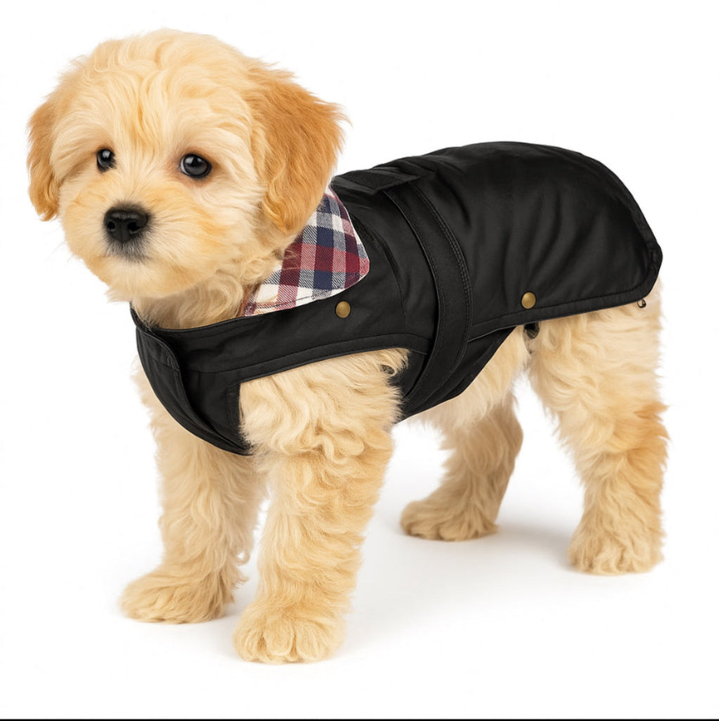 Traditional Rain Coat - XS