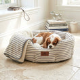 Load image into Gallery viewer, Posh Poos Heritage Stripe Dog Bed - Grey
