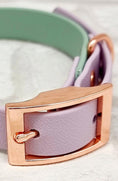 Load image into Gallery viewer, Waterproof BioThane® Dog Collar & Dog Lead Set - Sage & Lilac  SMALL - Posh Poos
