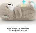 Load image into Gallery viewer, Calming Breathing Otter Dog and Puppy Toy - Posh Poos
