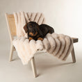 Load image into Gallery viewer, Scruffs Aspen Furry Dog/Puppy Blanket CREAM
