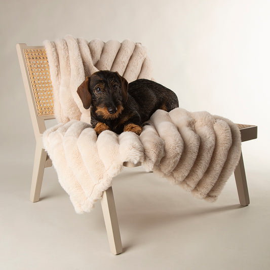 Scruffs Aspen Furry Dog/Puppy Blanket CREAM