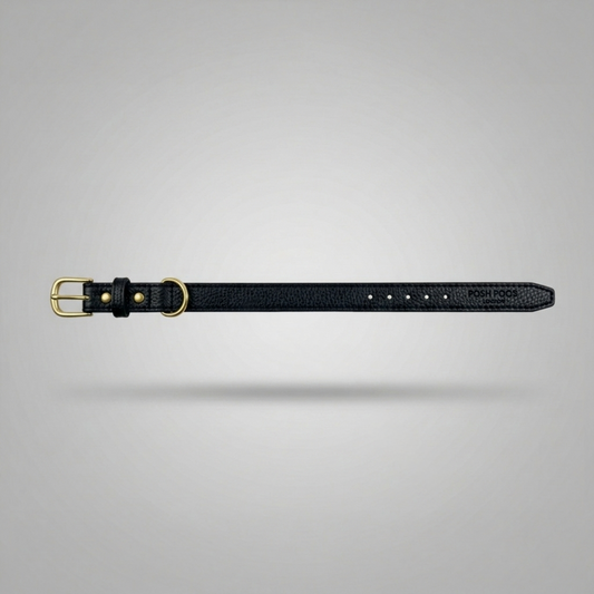 Belgravia Black Vegan Leather Puppy Collar