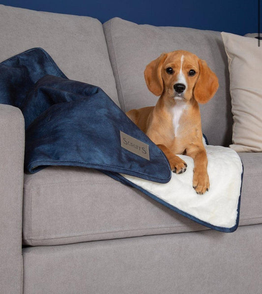 Scruffs Kensington Dog Blanket-Navy - Posh Poos