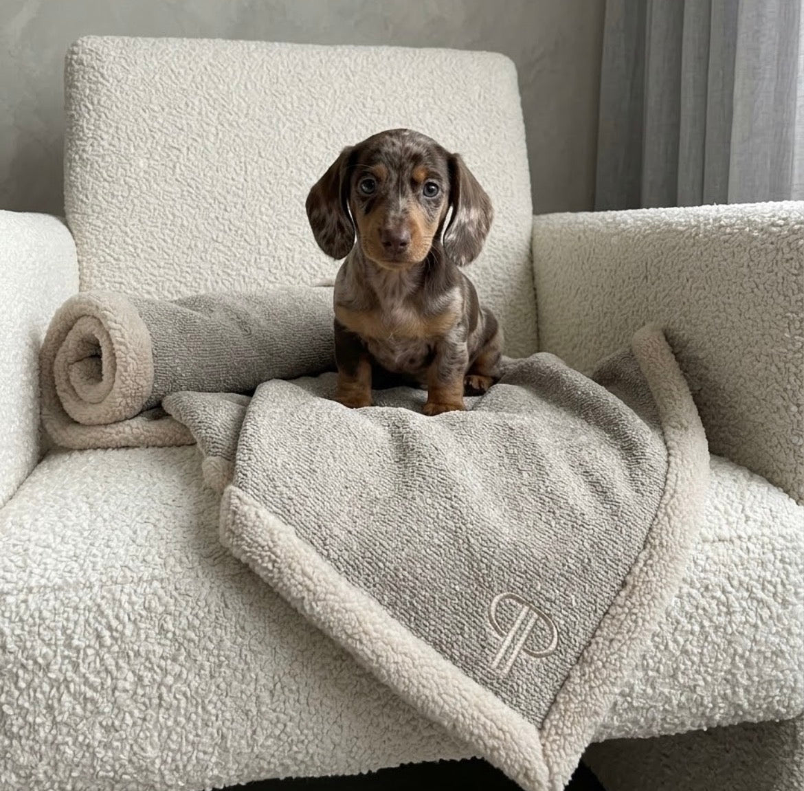 Boucle Luxury Dog Blanket -Stone