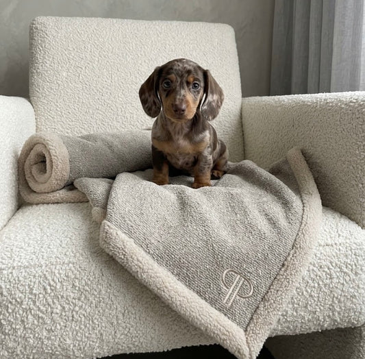 Boucle Luxury Dog Blanket -Stone