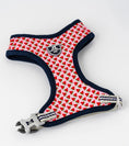 Load image into Gallery viewer, XS Puppy Harness, Lead, Collar Set -Watermelon - Posh Poos
