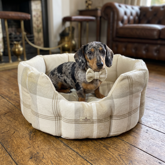 Dog sitting on a plaid pet bed in a cozy room with wooden floor and furniture.