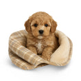 Load image into Gallery viewer, Luxury Taupe Plaid Puppy Blanket - Soft Fleece 70x50cm
