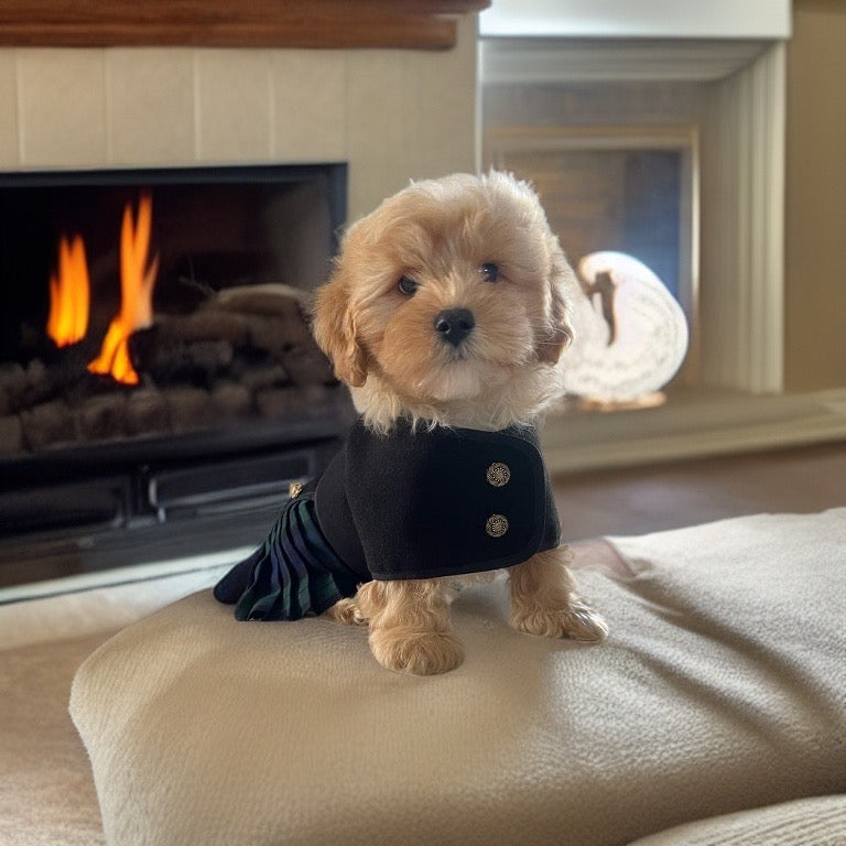 Tartan Kilt Coat 8 inch (puppy size)