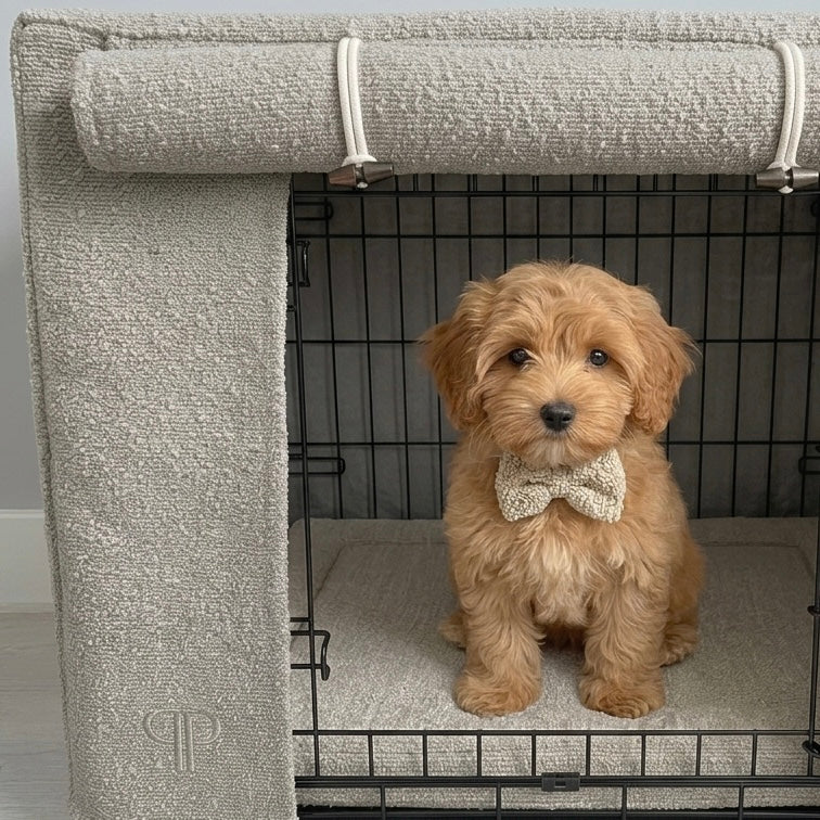 Complete Puppy 4 Piece Crate Set - Luxury Boucle - Stone (Save up to £46)