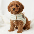Load image into Gallery viewer, Heritage Stripe Sherpa Coat Harness - Duck Egg
