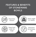 Load image into Gallery viewer, Scruffs Reactive Glaze Dog Bowl Set Navy Blue - Posh Poos
