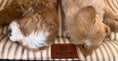 Load image into Gallery viewer, Posh Poos Dog Crate Cushion in Heritage Stripe - Posh Poos
