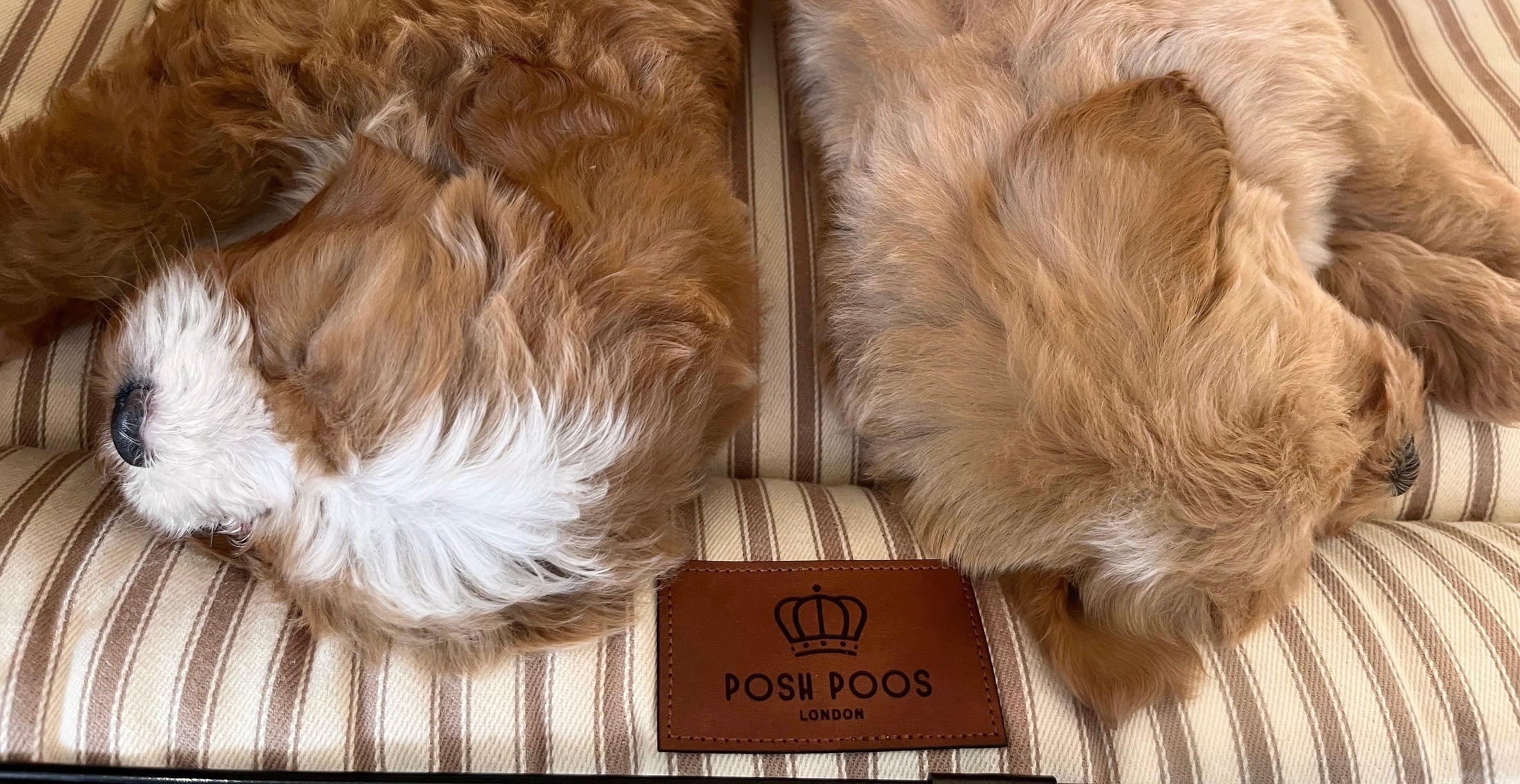 Posh Poos Dog Crate Cushion in Heritage Stripe - Posh Poos