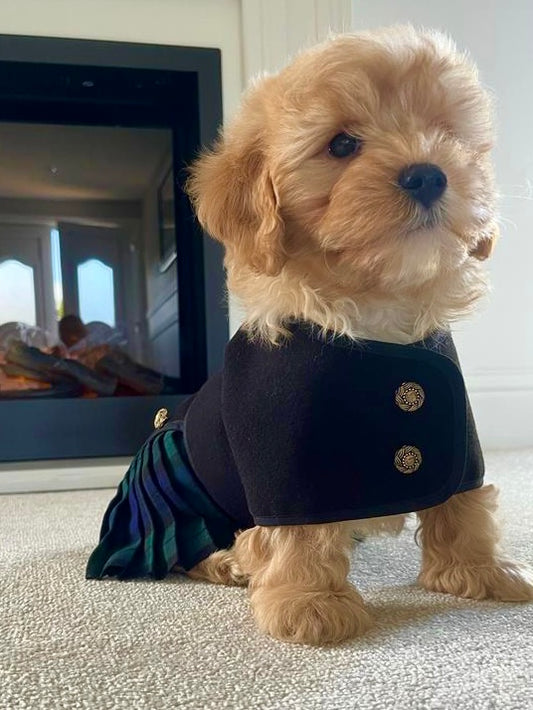 Tartan Kilt Coat 8 inch (puppy size)