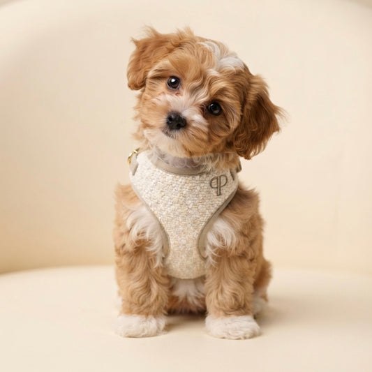 Boucle Puppy Harness - Cream