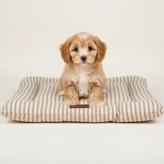 Crate Mattress - Heritage Stripe - Taupe