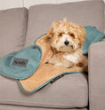 Load image into Gallery viewer, Scruff Snuggle Dog Blanket Green - Posh Poos
