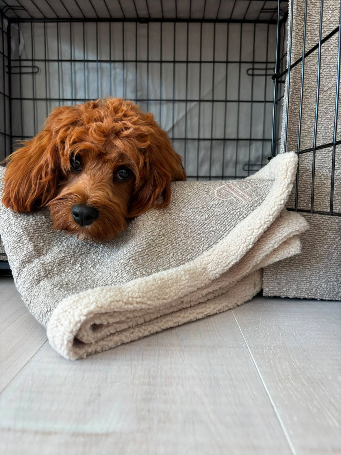 Complete Puppy 4 Piece Crate Set - Luxury Boucle - Stone (Save up to £46)