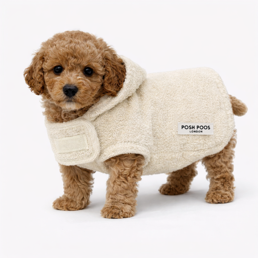 Posh Poos Towelling Drying Coat For Puppies & Toy Adult Dogs