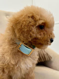 Load image into Gallery viewer, Waterproof Pvc Collar and Lead Set MINT - Posh Poos
