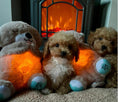 Load image into Gallery viewer, Calming Breathing Otter Dog and Puppy Toy - Posh Poos
