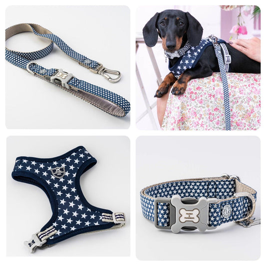 XS Puppy Harness, Lead, Collar Set - Navy Stars - Posh Poos