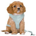 Load image into Gallery viewer, MINT Soft Puppy Harness With Matching Tiny Puppy - Posh Poos
