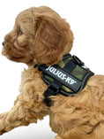 Load image into Gallery viewer, Julius-K9® Powerharness Baby 1–Mini 3XS TINY PUPPY SIZE - Posh Poos
