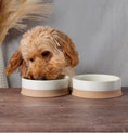Load image into Gallery viewer, SCANDI Non Slip Bowl For Small Dogs And Puppies - Posh Poos
