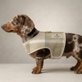 Load image into Gallery viewer, Highland Tweed Puppy Dog Coat Harness
