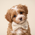Load image into Gallery viewer, Boucle Bow - Cream
