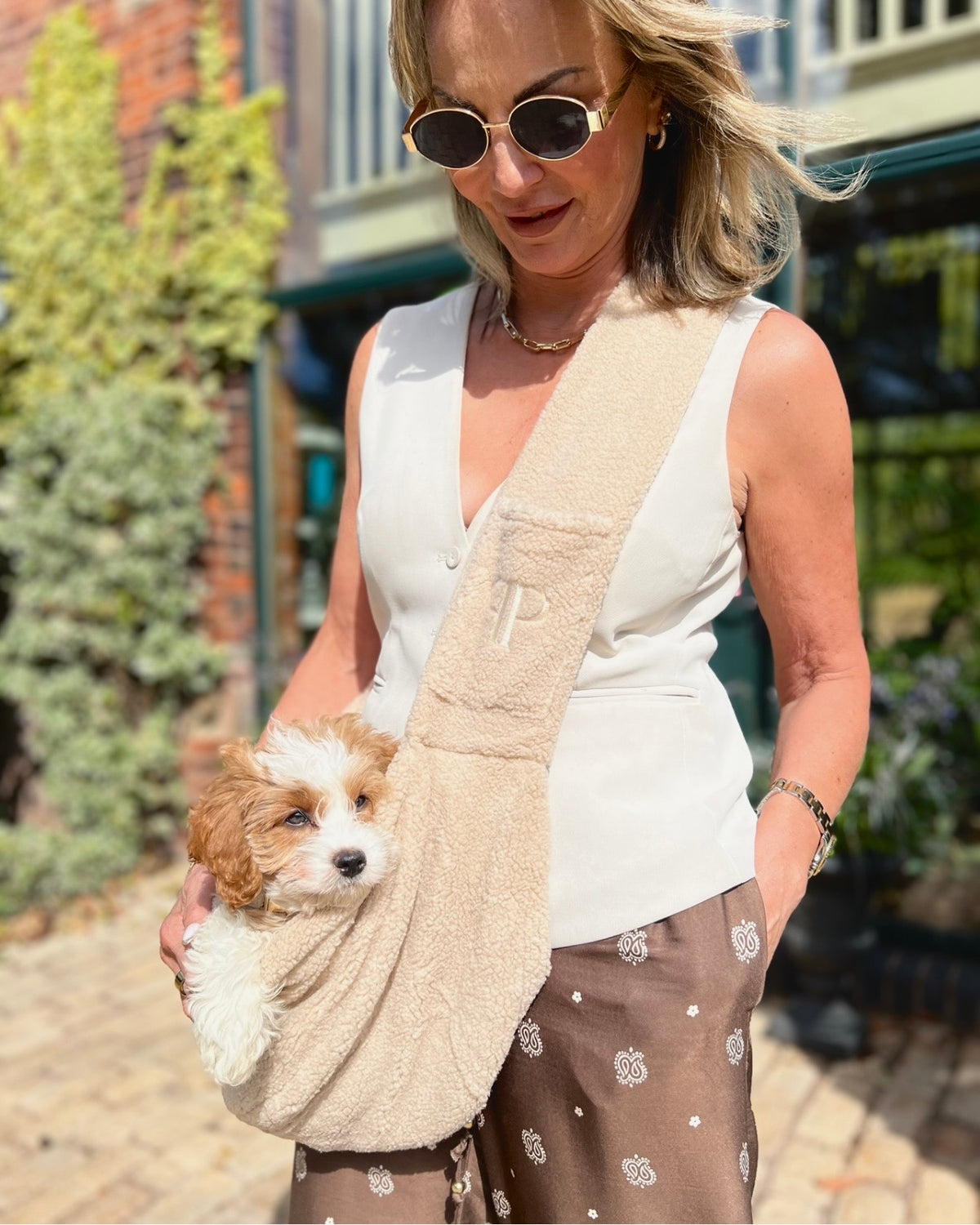 Real Posh Poos Pups, Real Homes