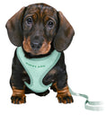 Load image into Gallery viewer, MINT Soft Puppy Harness With Matching Tiny Puppy - Posh Poos
