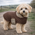 Load image into Gallery viewer, Quilted Sherpa-Lined Puppy & Small Dog Coat
