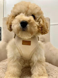 Load image into Gallery viewer, Heritage Tweed Posh Poos Puppy Small Dog Harness Set - Posh Poos
