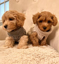 Load image into Gallery viewer, Tiny Puppy Jumper,  BACK IN STOCK - Posh Poos
