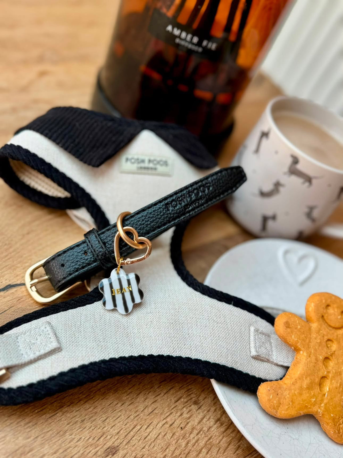 Belgravia Monochrome 3 Piece First Walk Set - Harness, Collar & Lead