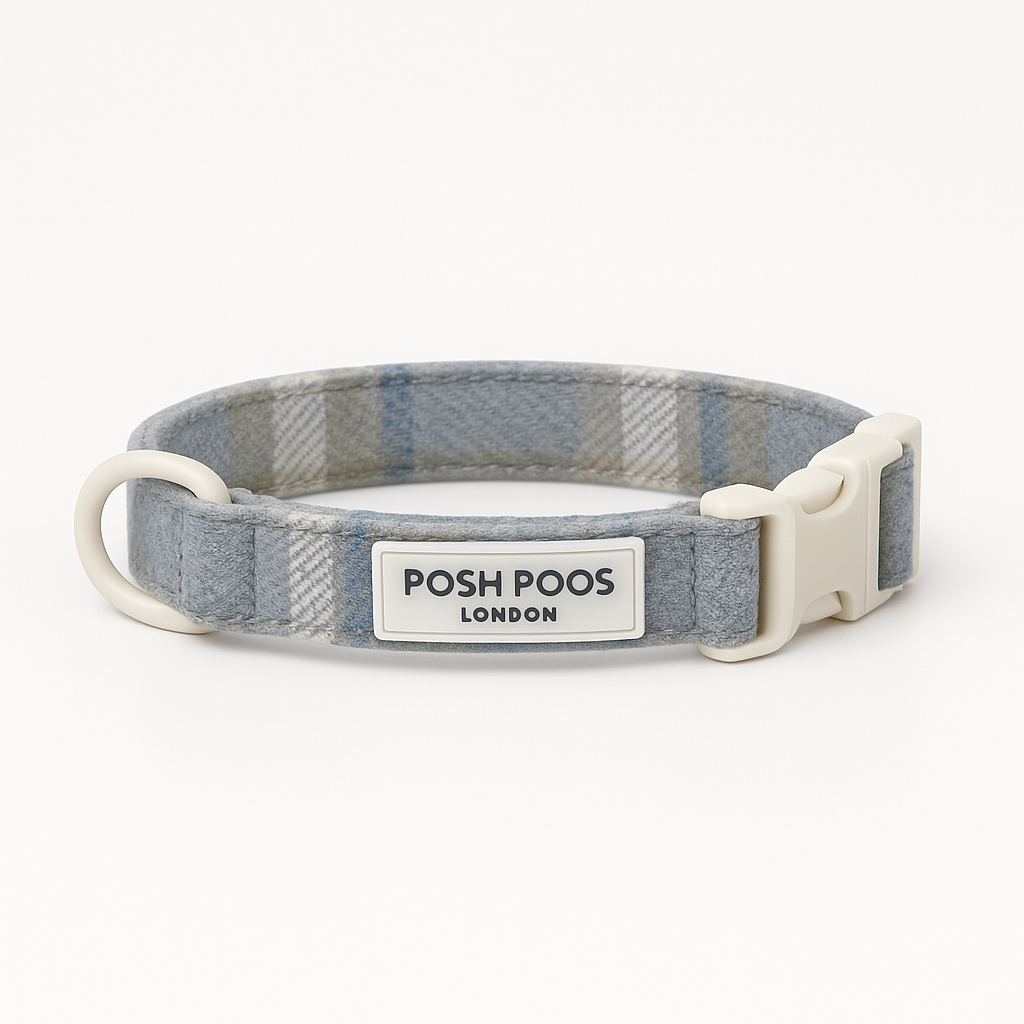 Posh poos adjustable puppy collar in blue plaid fabric with cream buckle
