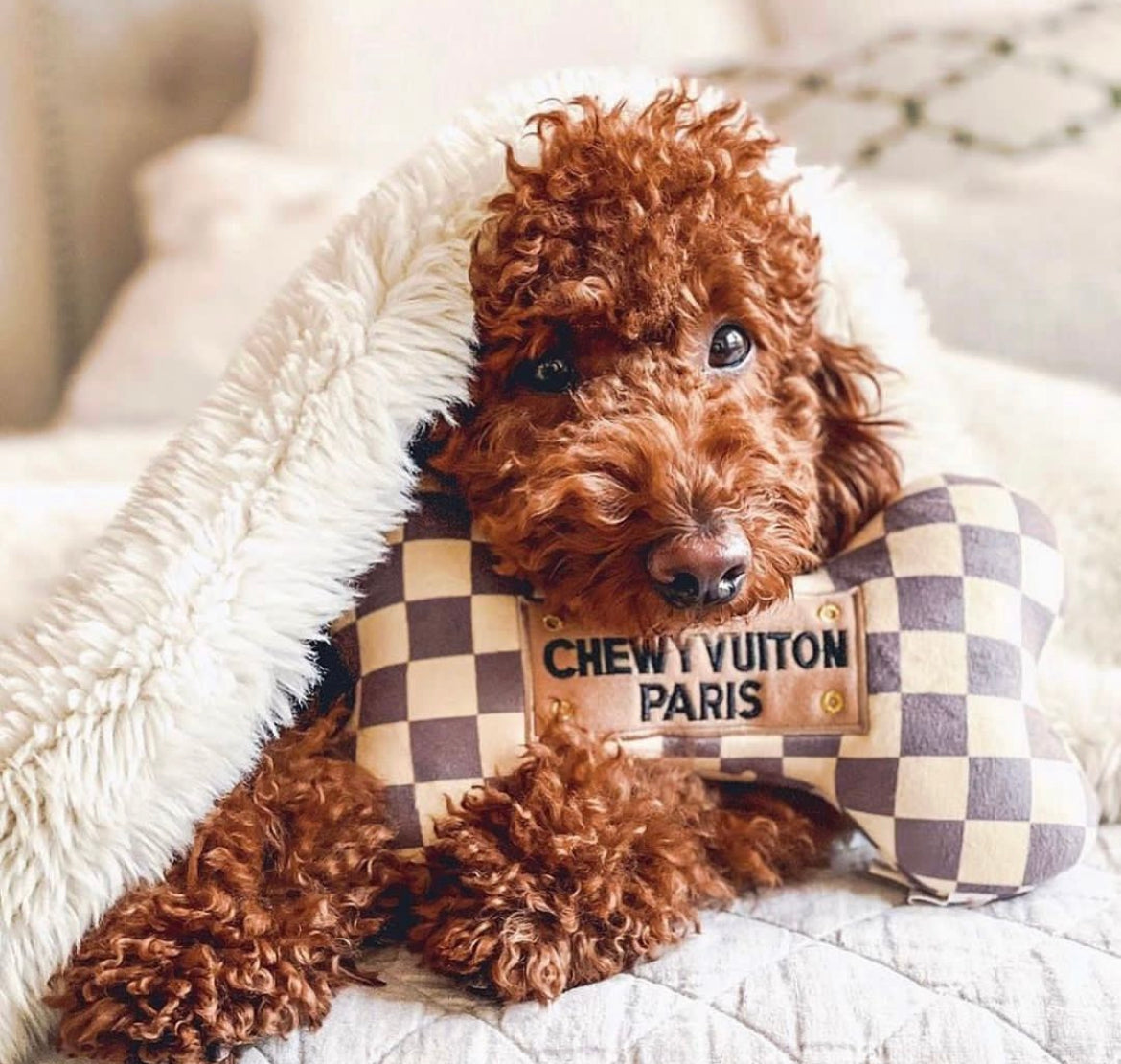 Chewy Vuitton Bowl, Mat and Toy Set, Free Delivery