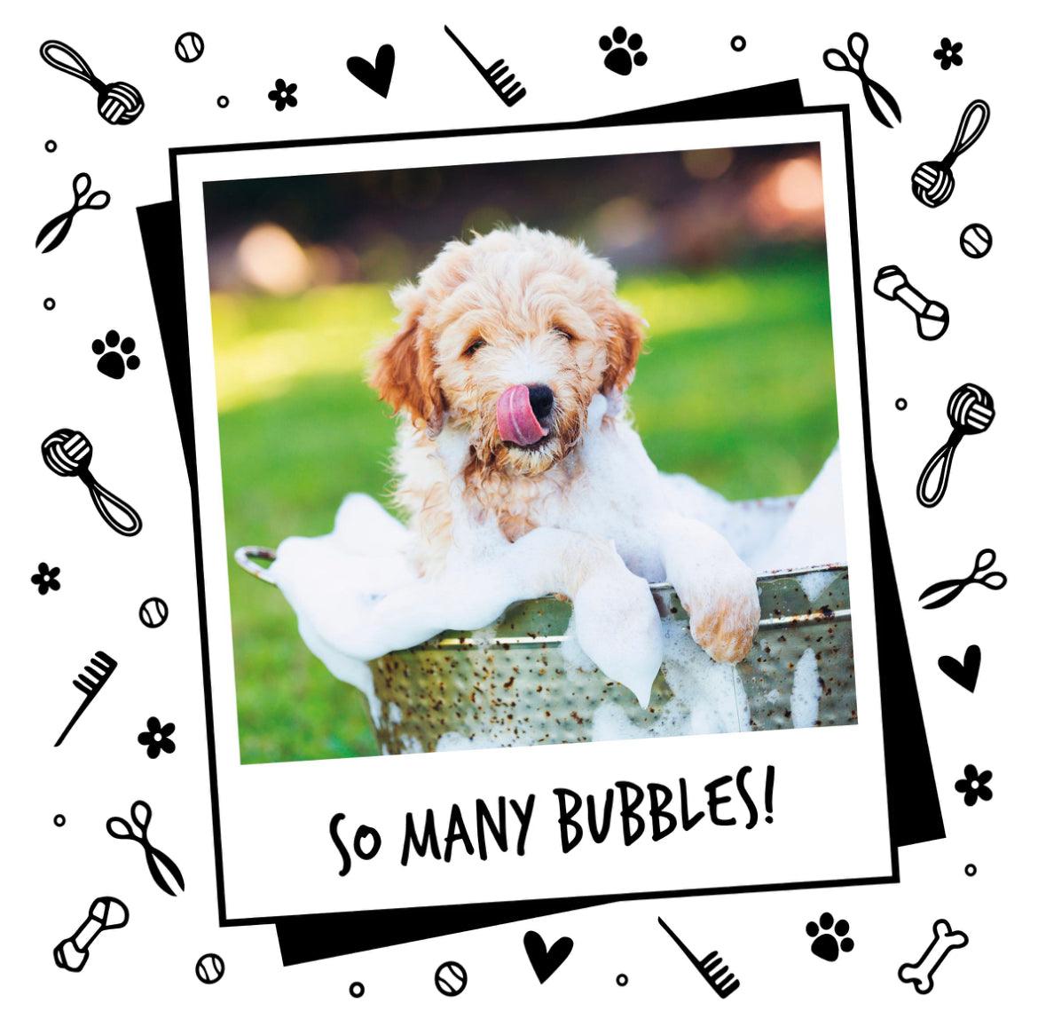 Bugalugs Baby Fresh Shampoo 500mls and Puppy and Dog - Posh Poos