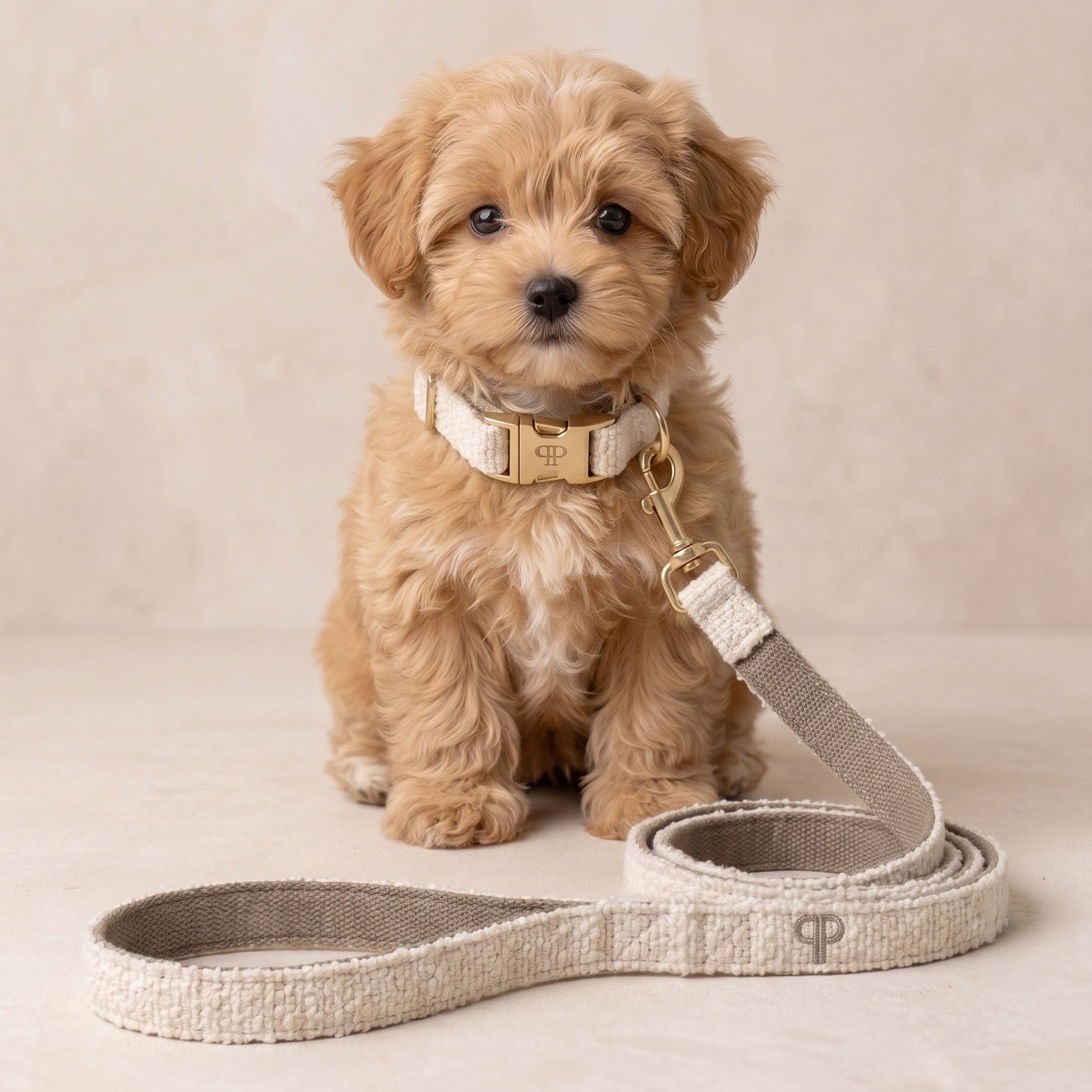 Boucle Lead - Cream
