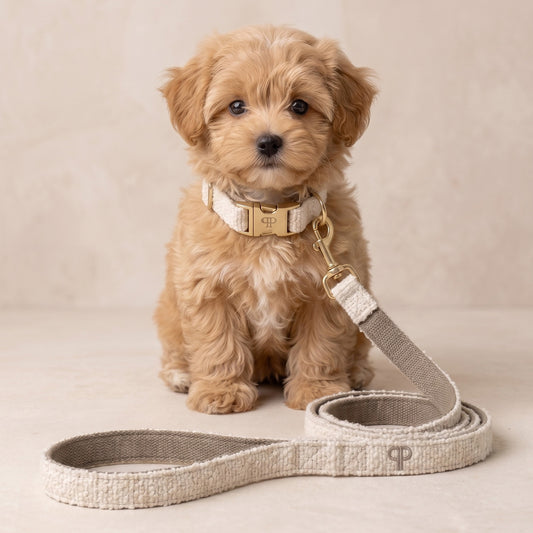 Boucle Lead - Cream