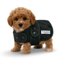 Load image into Gallery viewer, Small cavapoochon puppy  wearing a green coat with 'Posh Poos London' label on a white background

