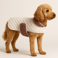 Load image into Gallery viewer, Red miniature Poodle wearing the cream quilted dog coat with sherpa lining from Posh Poos store
