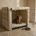 Load image into Gallery viewer, miniature Dachsund dog sitting inside of the posh poos  luxury tweed dog crate set up, stone floor neutral background.
