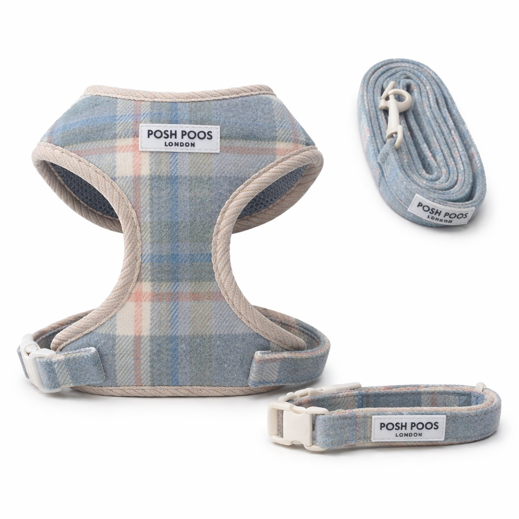 puppy harness, lead, and collar set with 'Posh Poos London' branding on a white background.