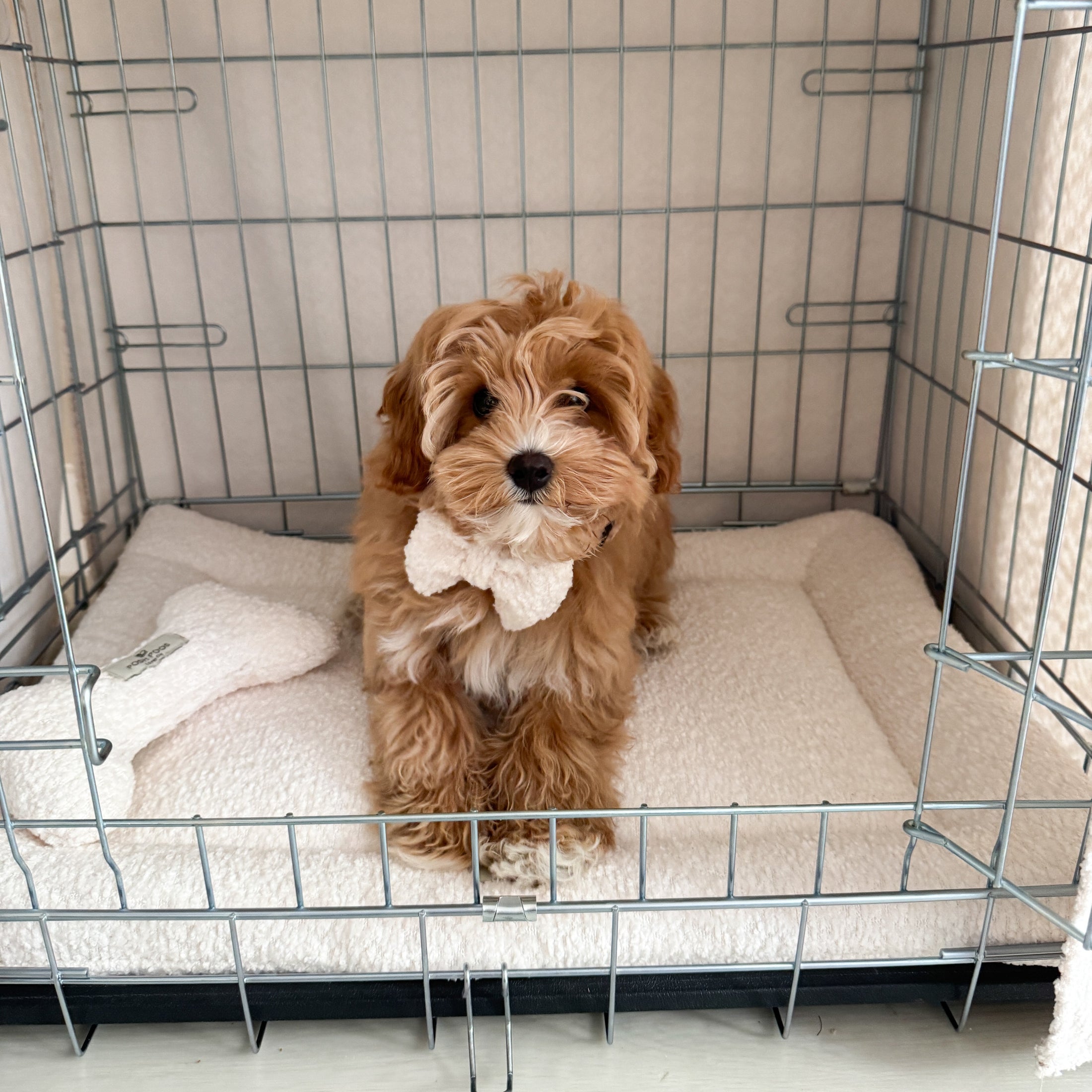 Luxury Boucle Dog Crate Cover - Cream