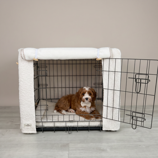 boucle dog crate set with red cavapoo inside 